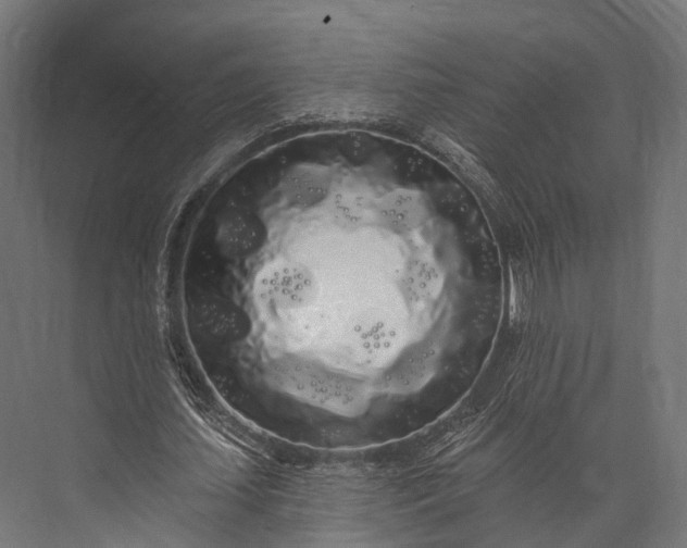 X0000076060627200610061537