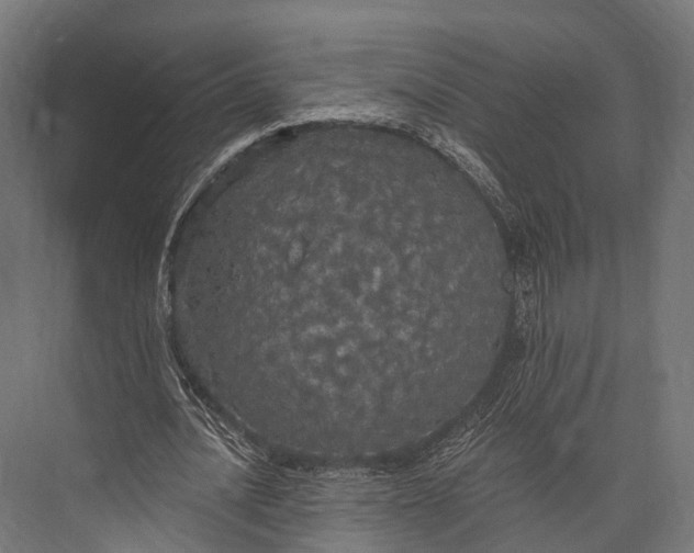 X0000076060628200610061537