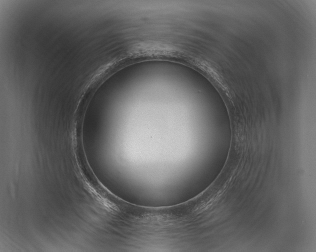 X0000076060629200610061537