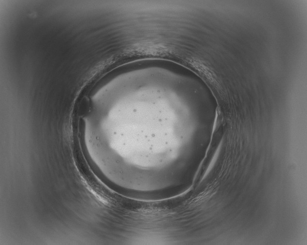 X0000076060630200610061537