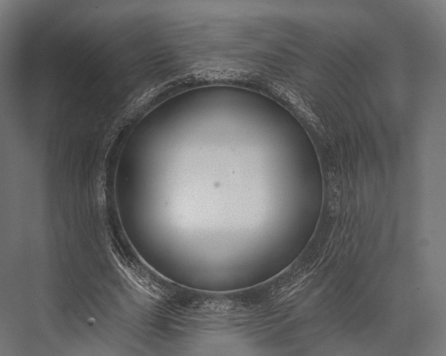 X0000076060631200610061537