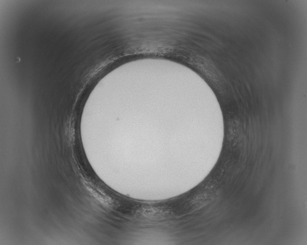 X0000076060632200610061537