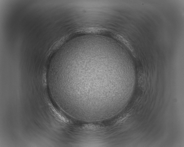 X0000076060633200610061537