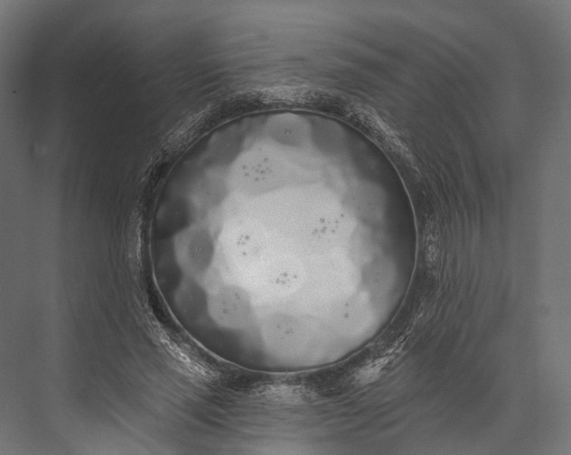 X0000076060637200610061537