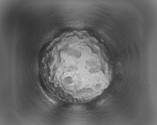 X0000076060638200610061537