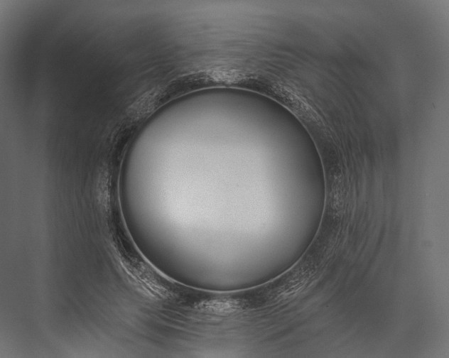 X0000076060639200610061537