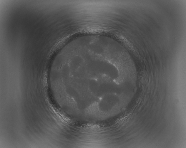 X0000076060640200610061537