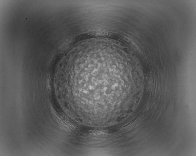 X0000076060643200610061537