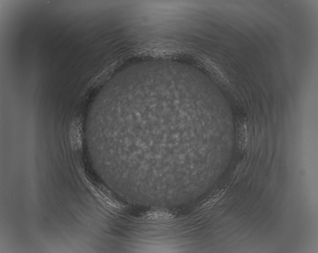 X0000076060644200610061537