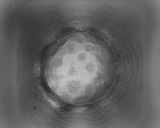 X0000076060646200610061537