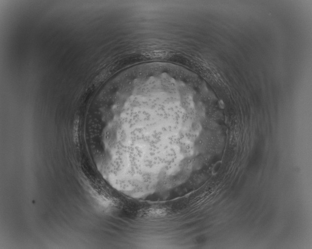 X0000076060647200610061537