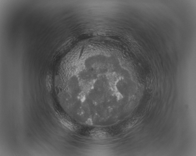 X0000076060648200610061537