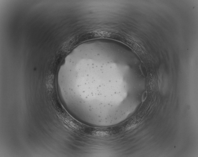 X0000076060649200610061537