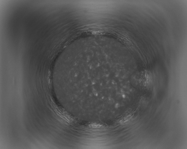 X0000076060650200610061537