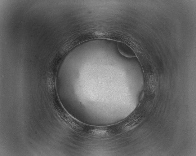 X0000076060651200610061537