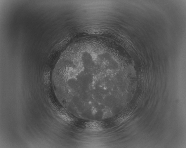 X0000076060652200610061537