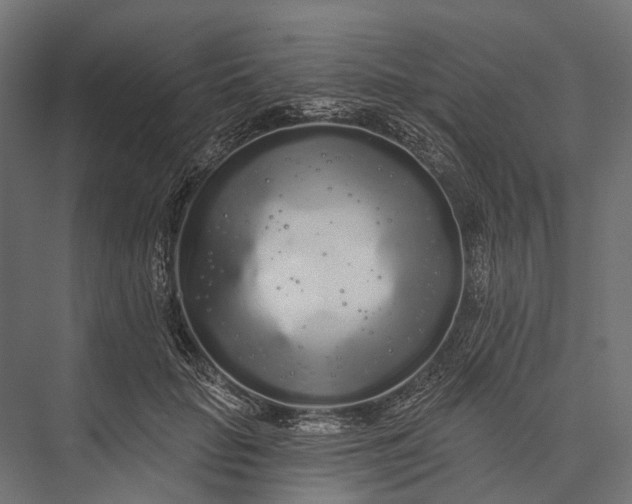 X0000076060653200610061537