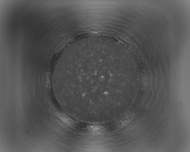 X0000076060654200610061537