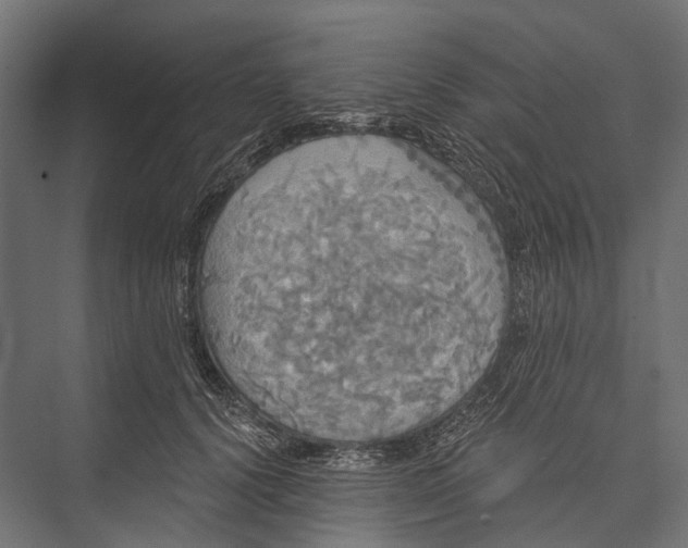 X0000076060656200610061537