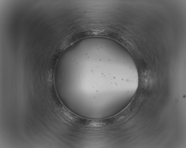 X0000076060657200610061537