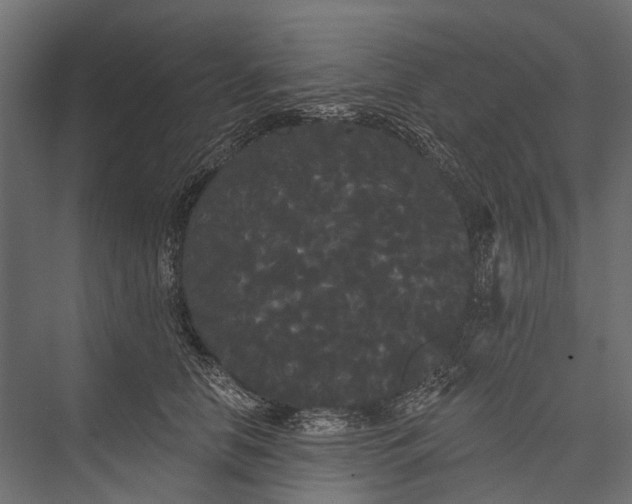 X0000076060658200610061537