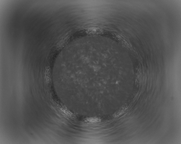 X0000076060659200610061537