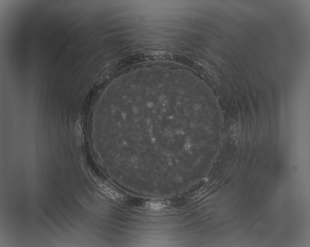 X0000076060662200610061537