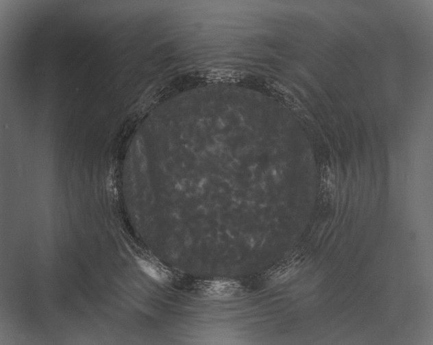 X0000076060663200610061537