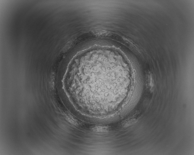 X0000076060664200610061537