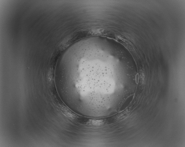 X0000076060665200610061537