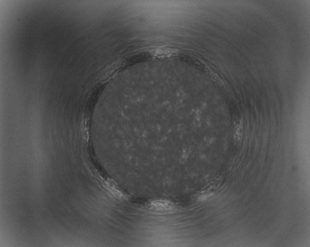 X0000076060666200610061537