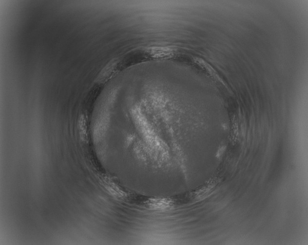 X0000076060667200610061537