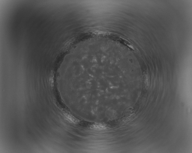 X0000076060668200610061537