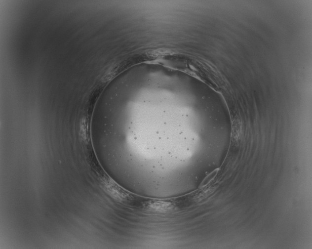 X0000076060669200610061538