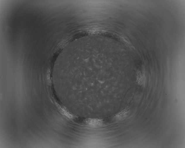 X0000076060670200610061538