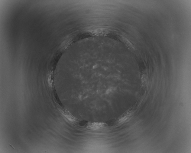 X0000076060671200610061538