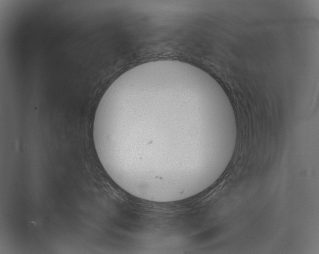 X0000076060672200610061538