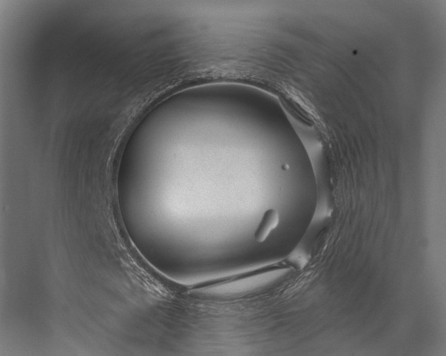 X0000076060673200610061537