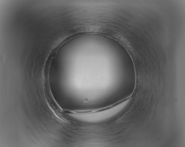 X0000076060674200610061537