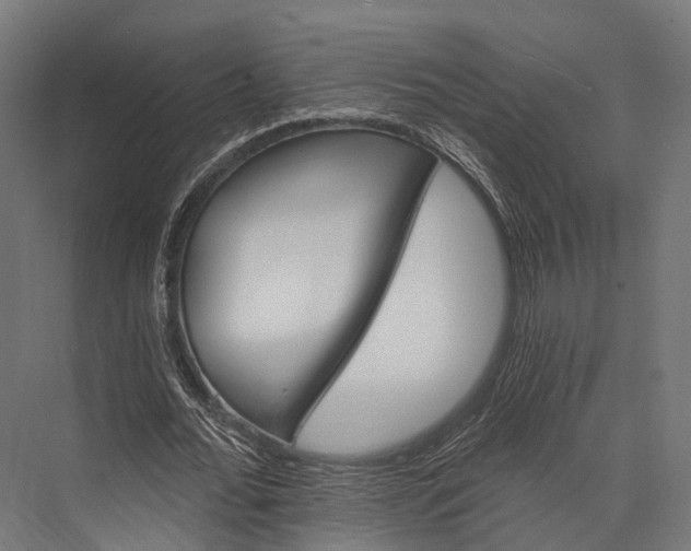 X0000076060676200610061537