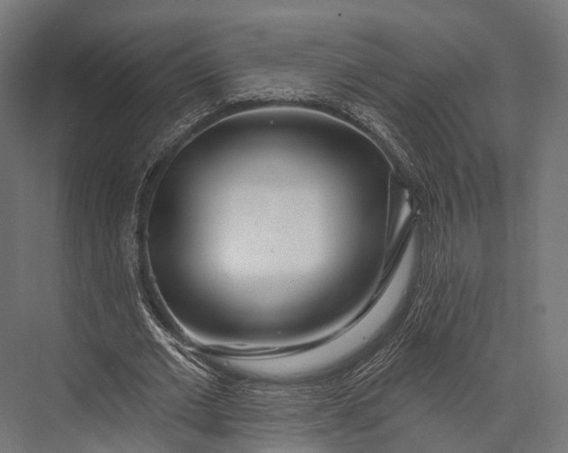 X0000076060677200610061537