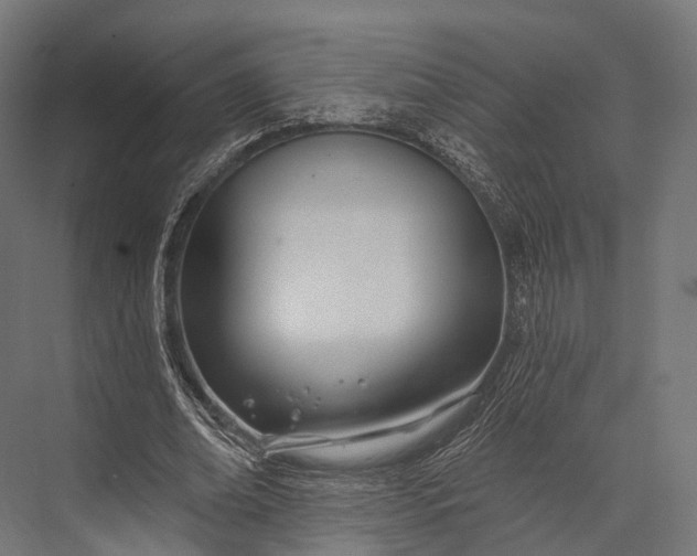 X0000076060678200610061537