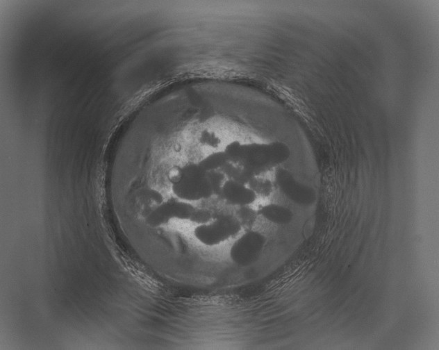 X0000076060679200610061537