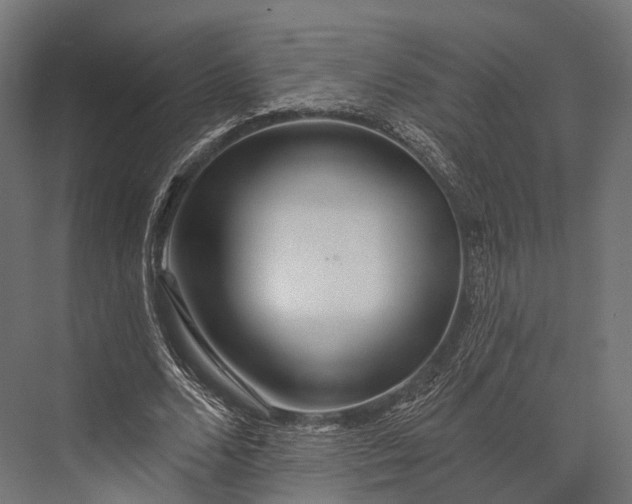 X0000076060680200610061537