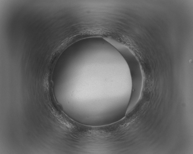 X0000076060681200610061537