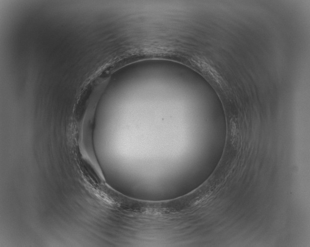 X0000076060684200610061537