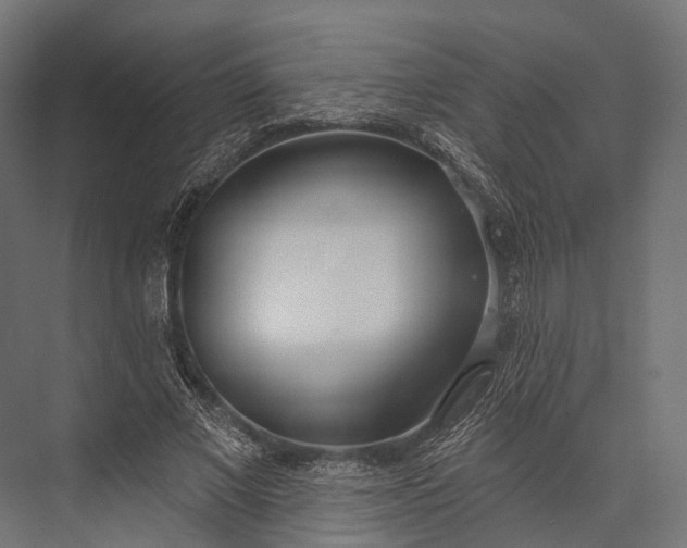 X0000076060685200610061537