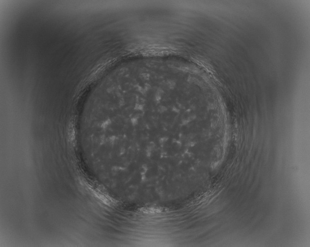 X0000076060687200610061537