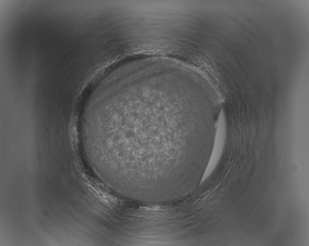 X0000076060688200610061536