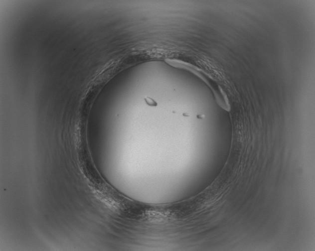 X0000076060690200610061536